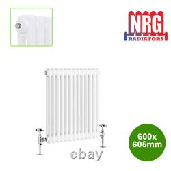 Radiateur traditionnel en fonte de style vertical horizontal avec porte-serviettes chauffant blanc